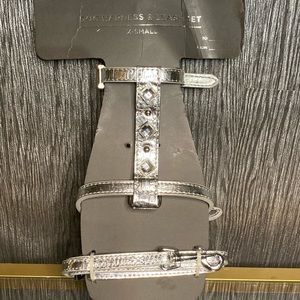 XS Doghaus Dog Harness and Leash